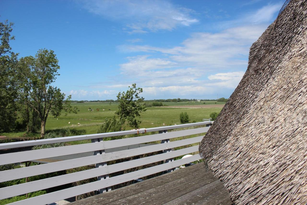 Urlaubsmuehle Fortuna St. Peter-Ording Borsthusen 外观 照片